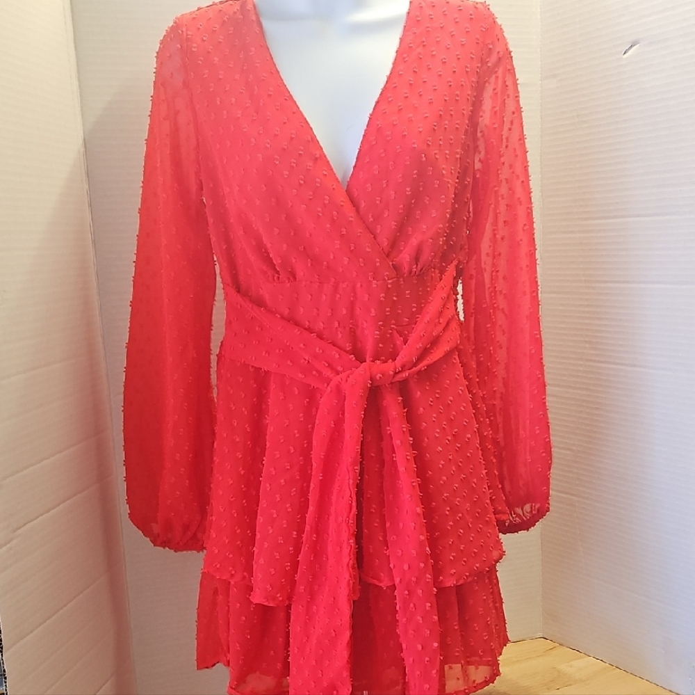 Japna Scarlet Polyester Dress